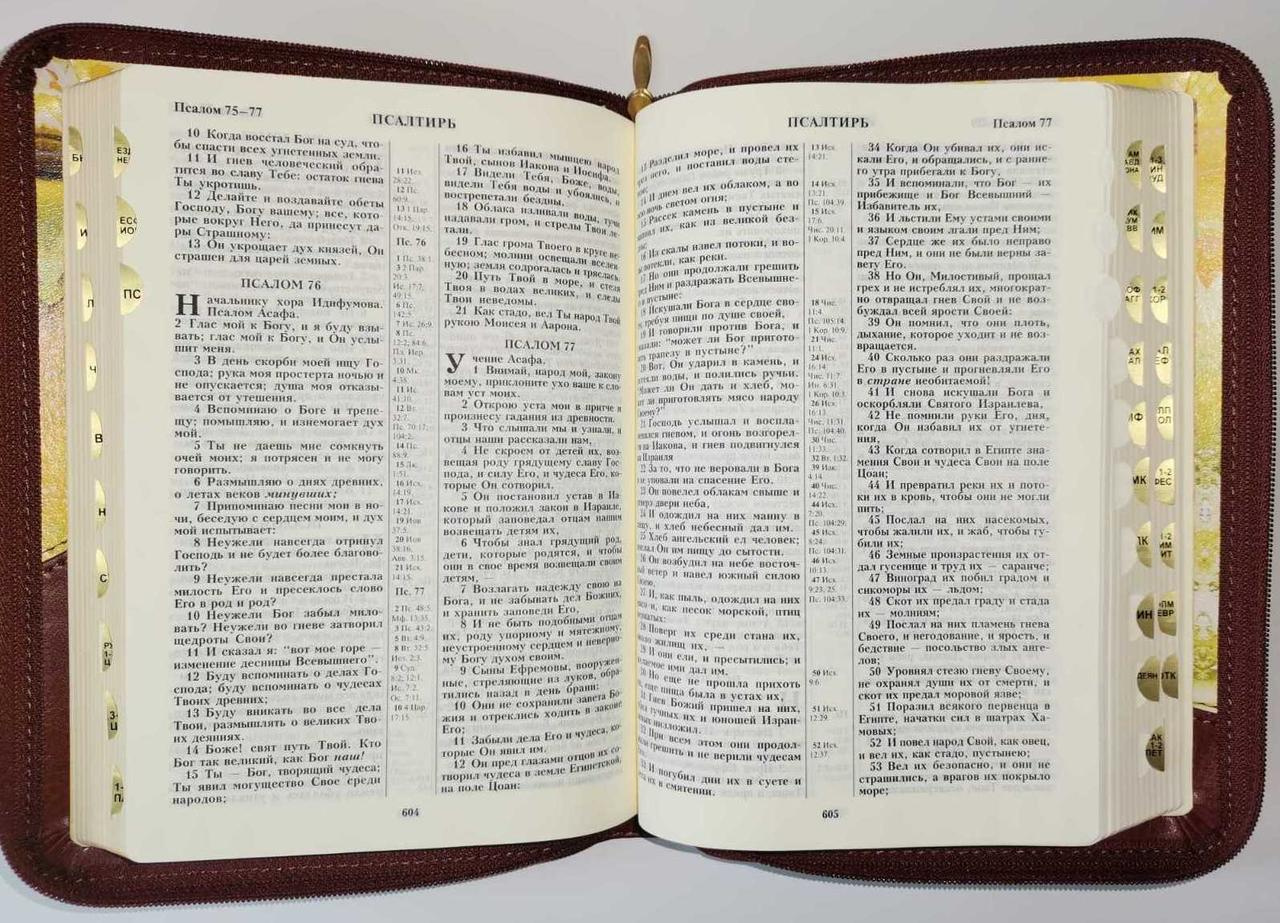 Библия 055 Zti кож.зам акварельная гроздь