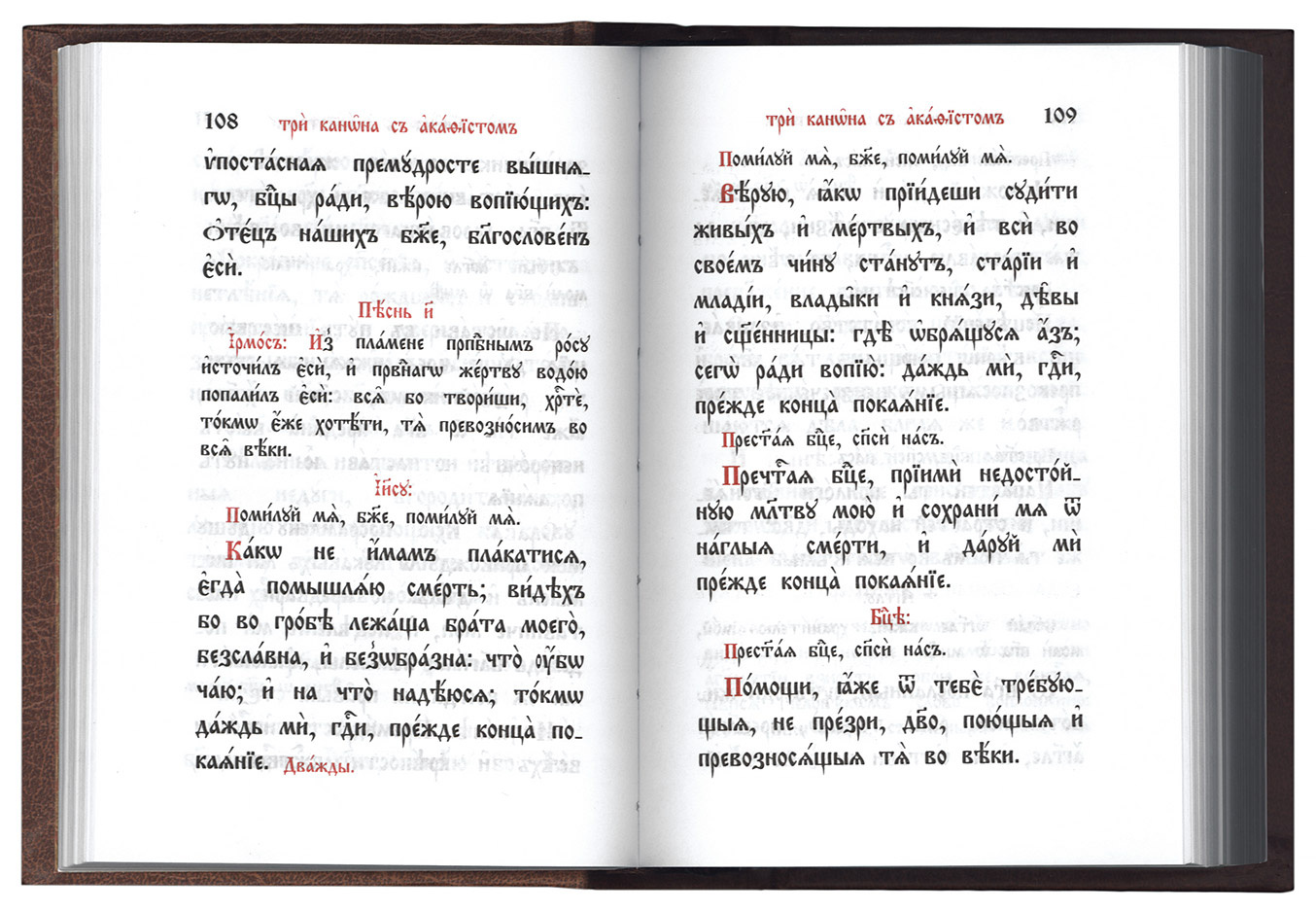 Молитвослов и Псалтирь на церковнославянском языке с совмещенными канонами - фото6