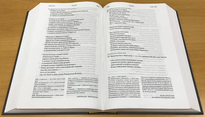 Библия 073 Современный русский перевод. Учебное издание (обложка серая) - фото3