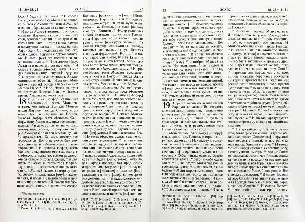 Библия с гравюрами Гюстава Доре и Юлиуса Шнорр фон Карольсфельда (зеленая) - фото4