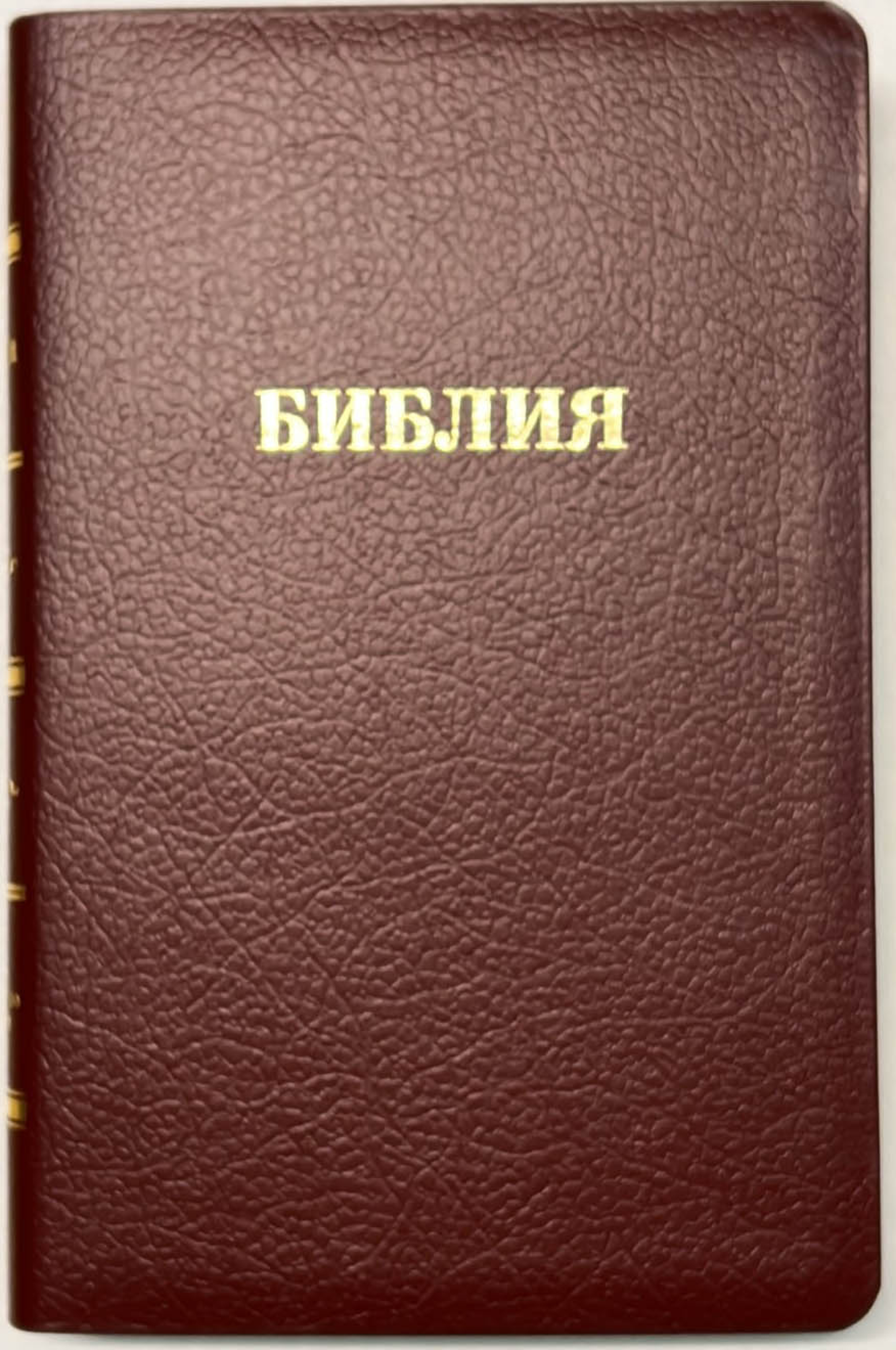 Библия 056 р/к  (7696) - фото