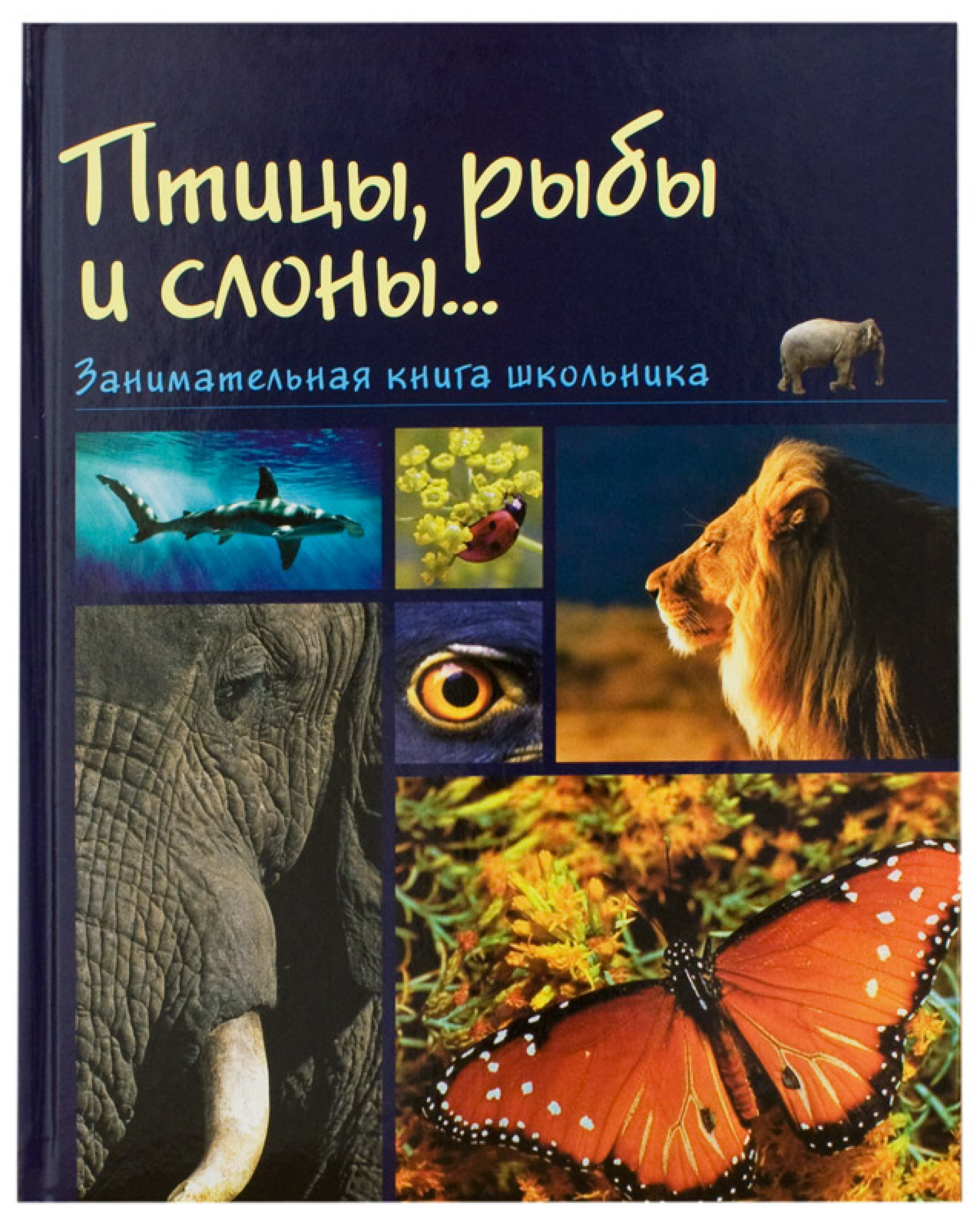 Птицы, рыбы и слоны... Занимательная книга школьника - фото