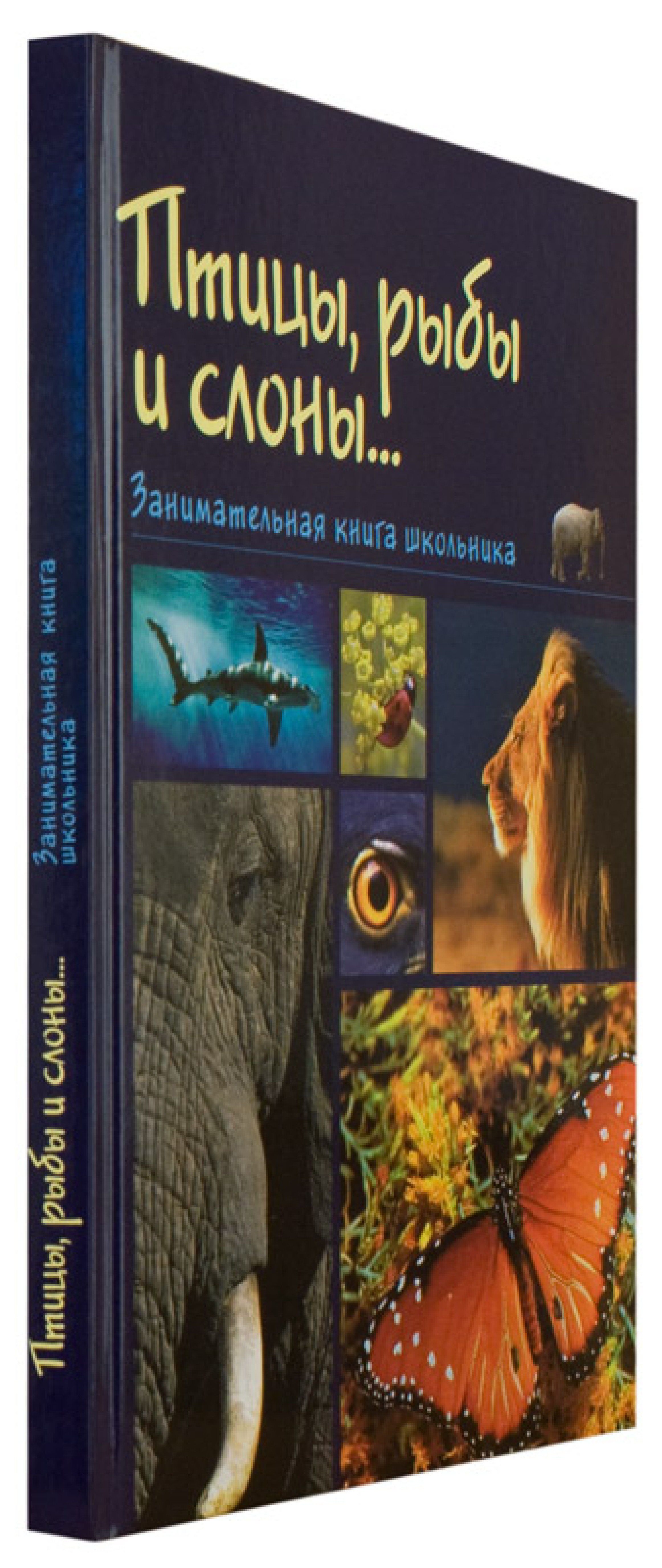 Птицы, рыбы и слоны... Занимательная книга школьника - фото2