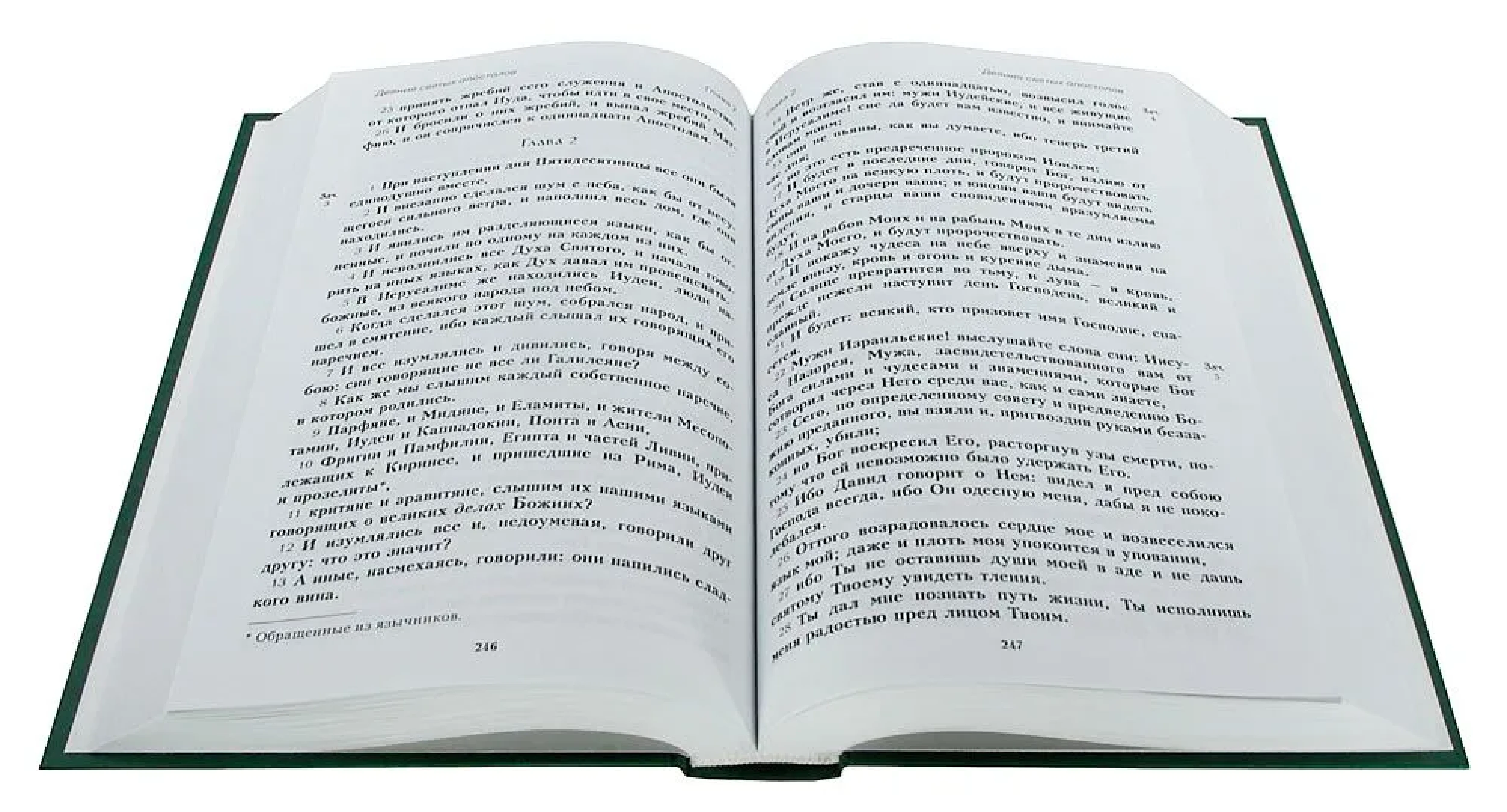 Новый Завет. Синодальный перевод (крупный шрифт, большой формат) - фото2