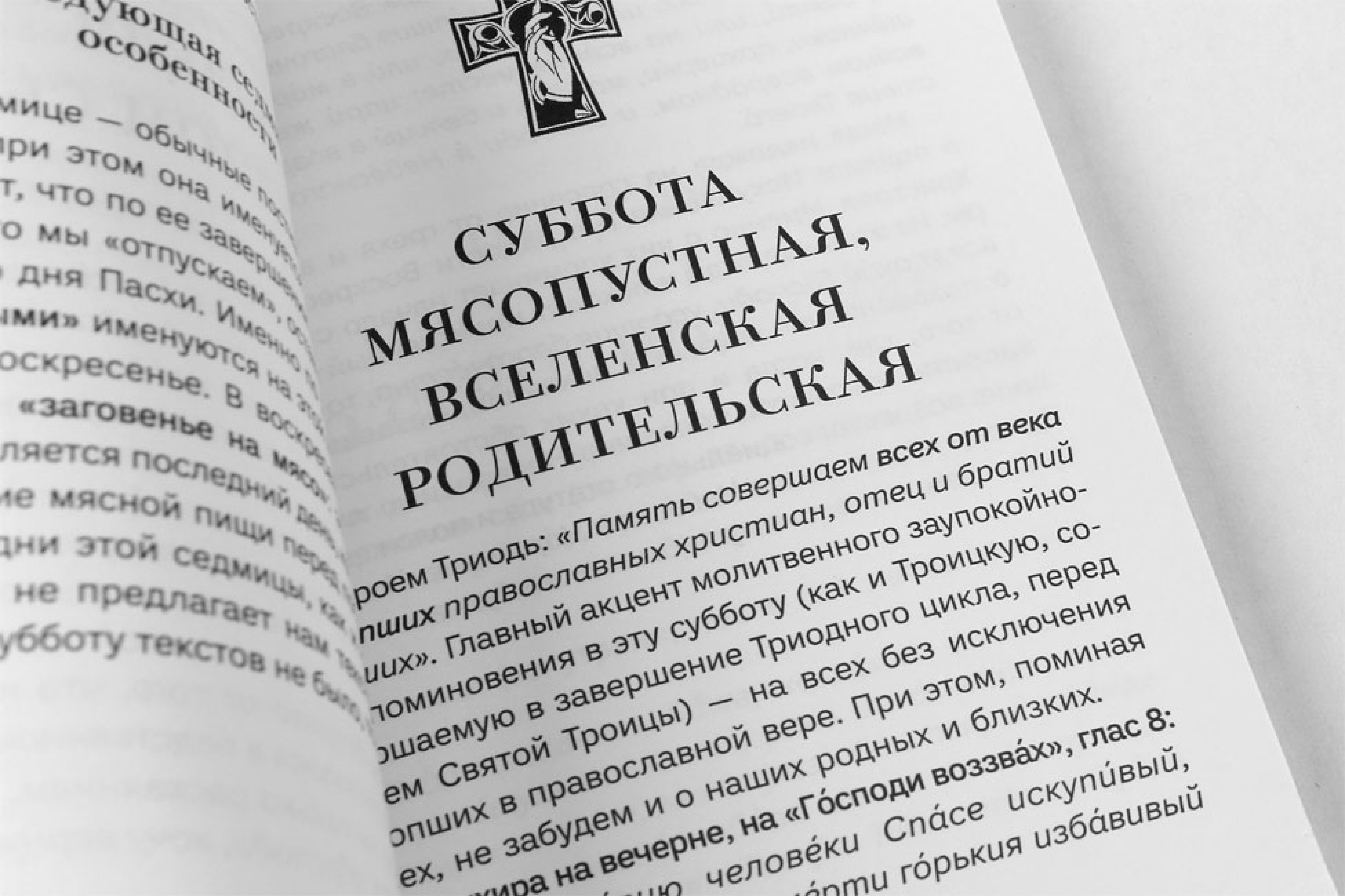 Знакомство с Постной Триодью. Богослужебные тексты Великого поста с комментариями - фото2