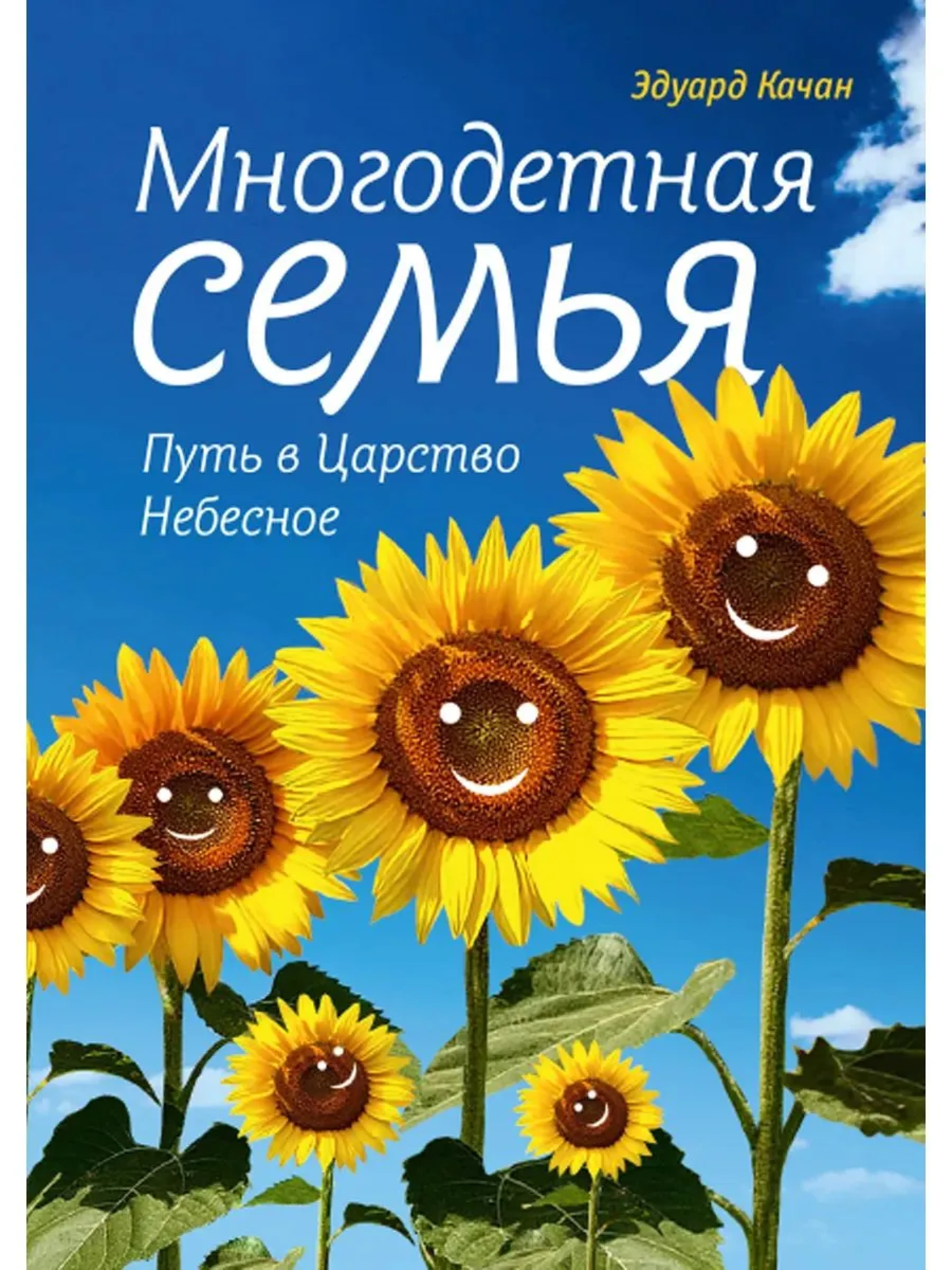 Многодетная семья. Путь в Царство Небесное - фото