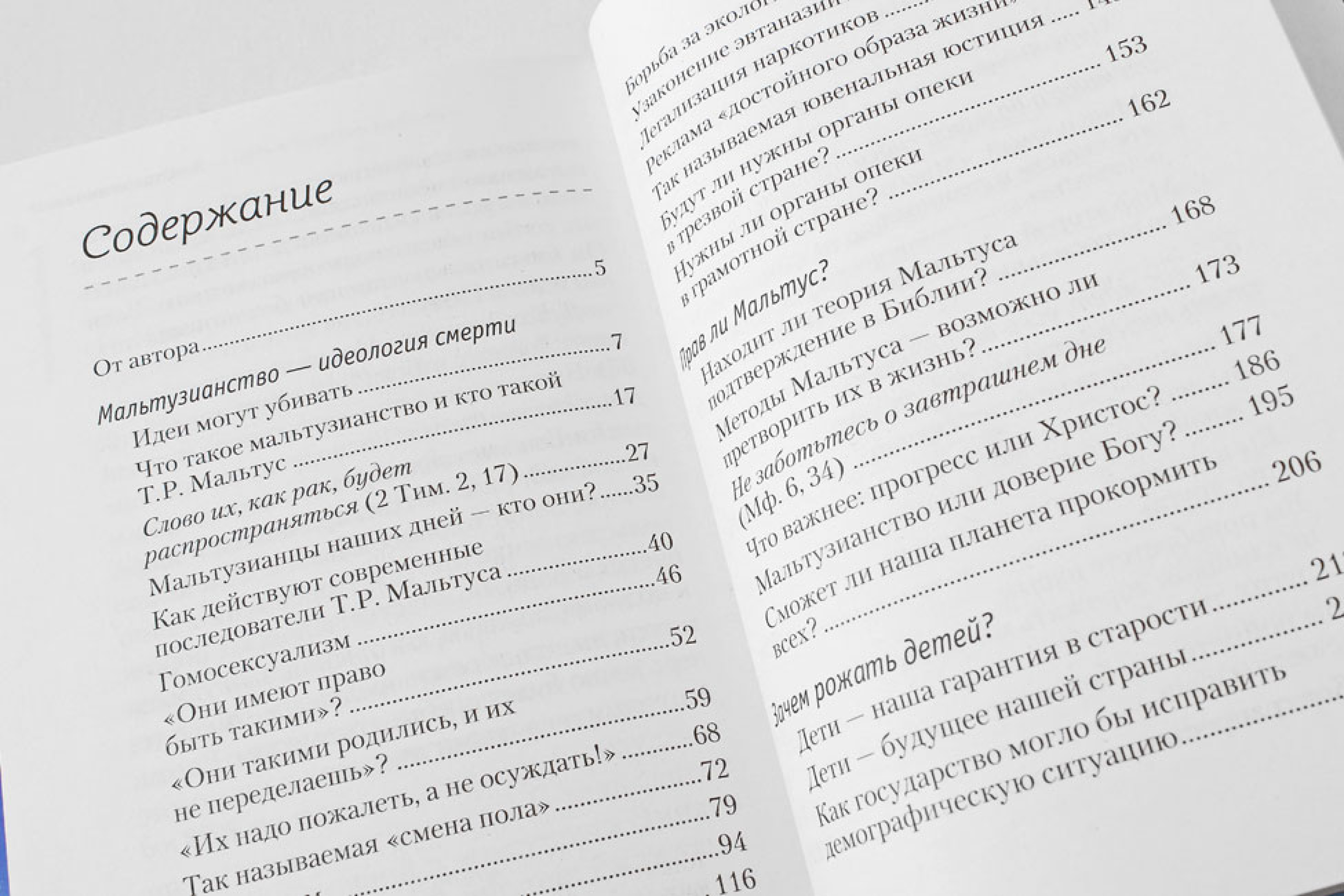 Многодетная семья. Путь в Царство Небесное - фото2