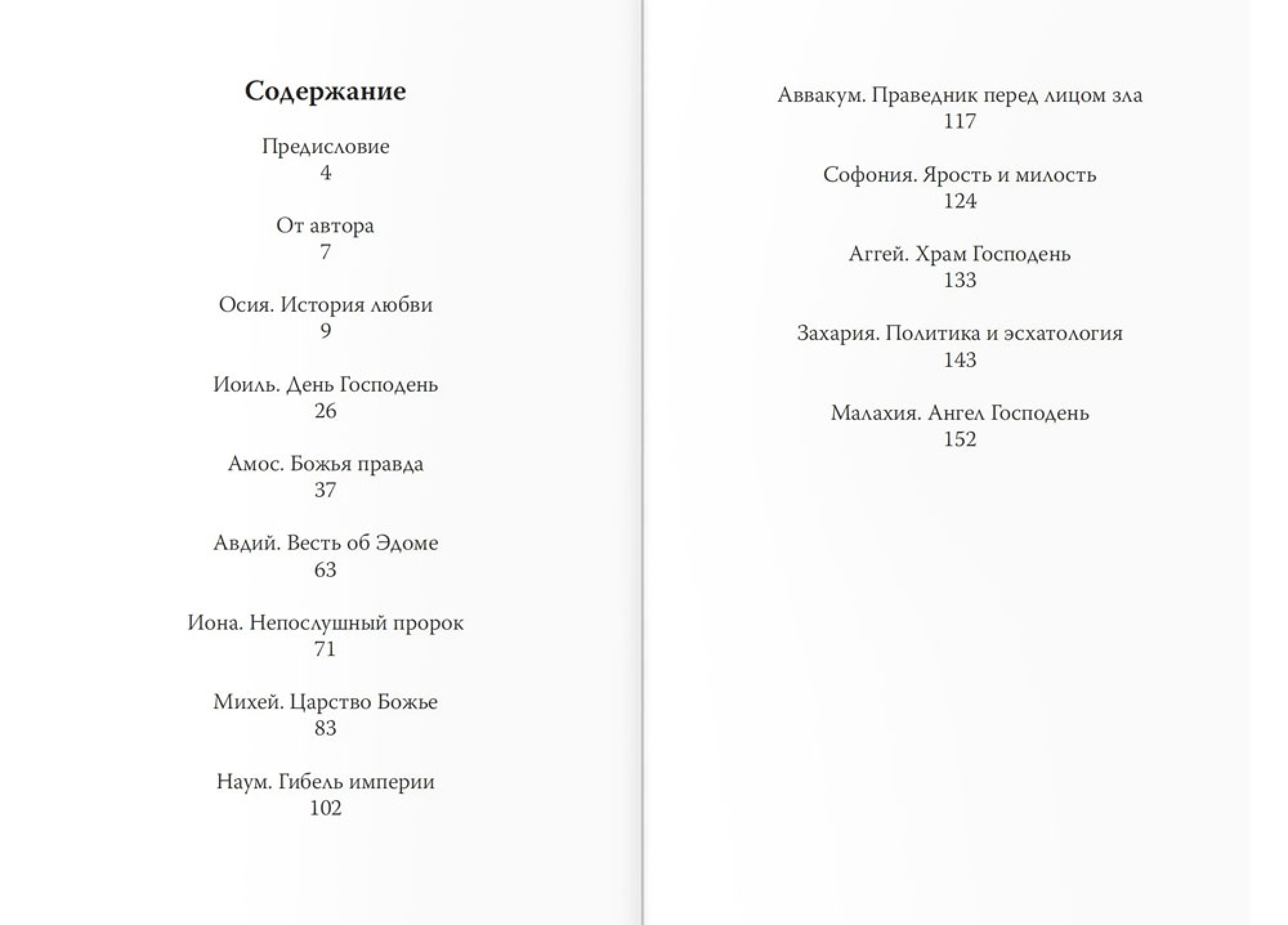 Двенадцать. Книги малых пророков - фото2