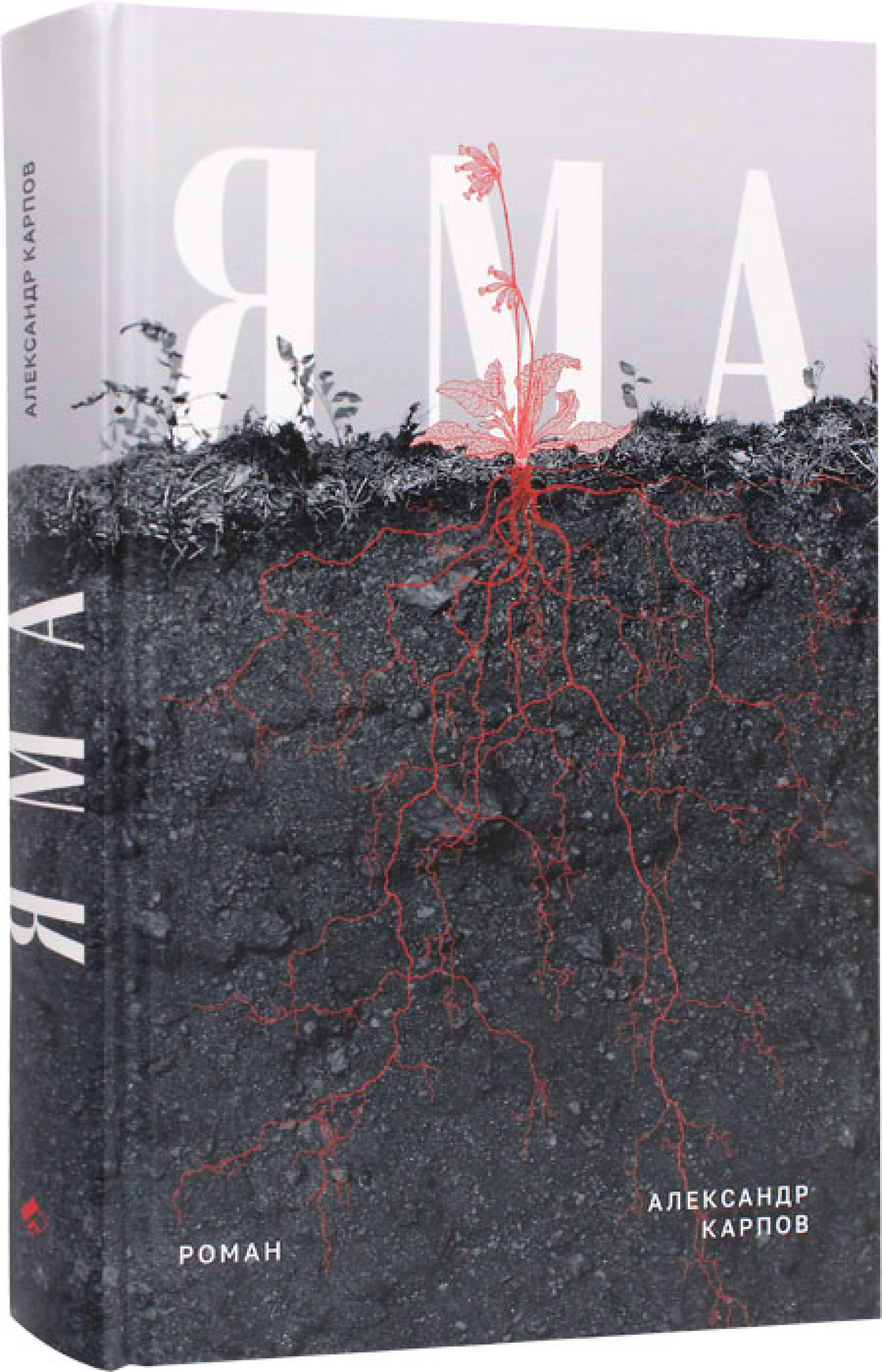 Яма. Роман - фото