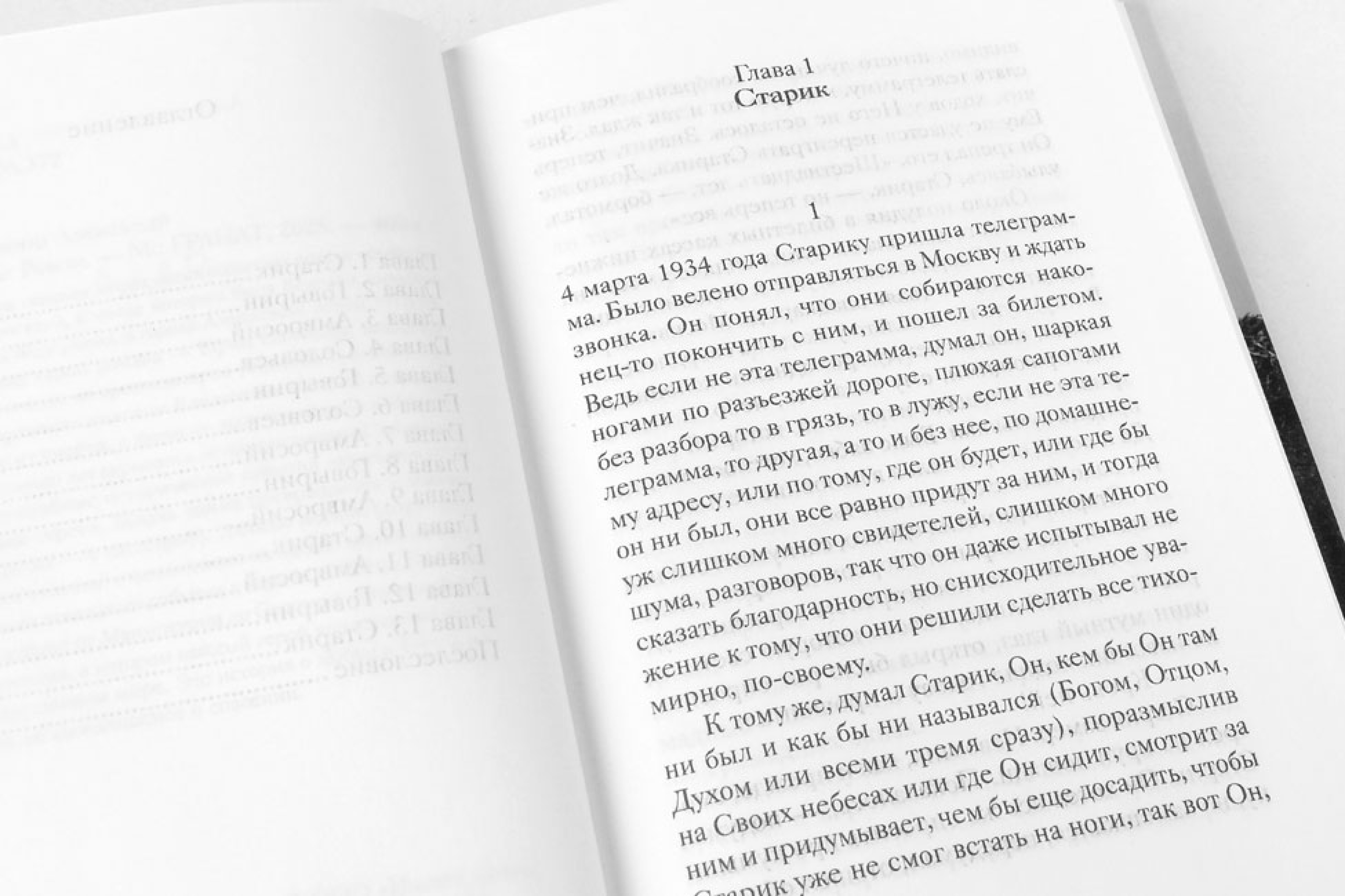 Яма. Роман - фото3