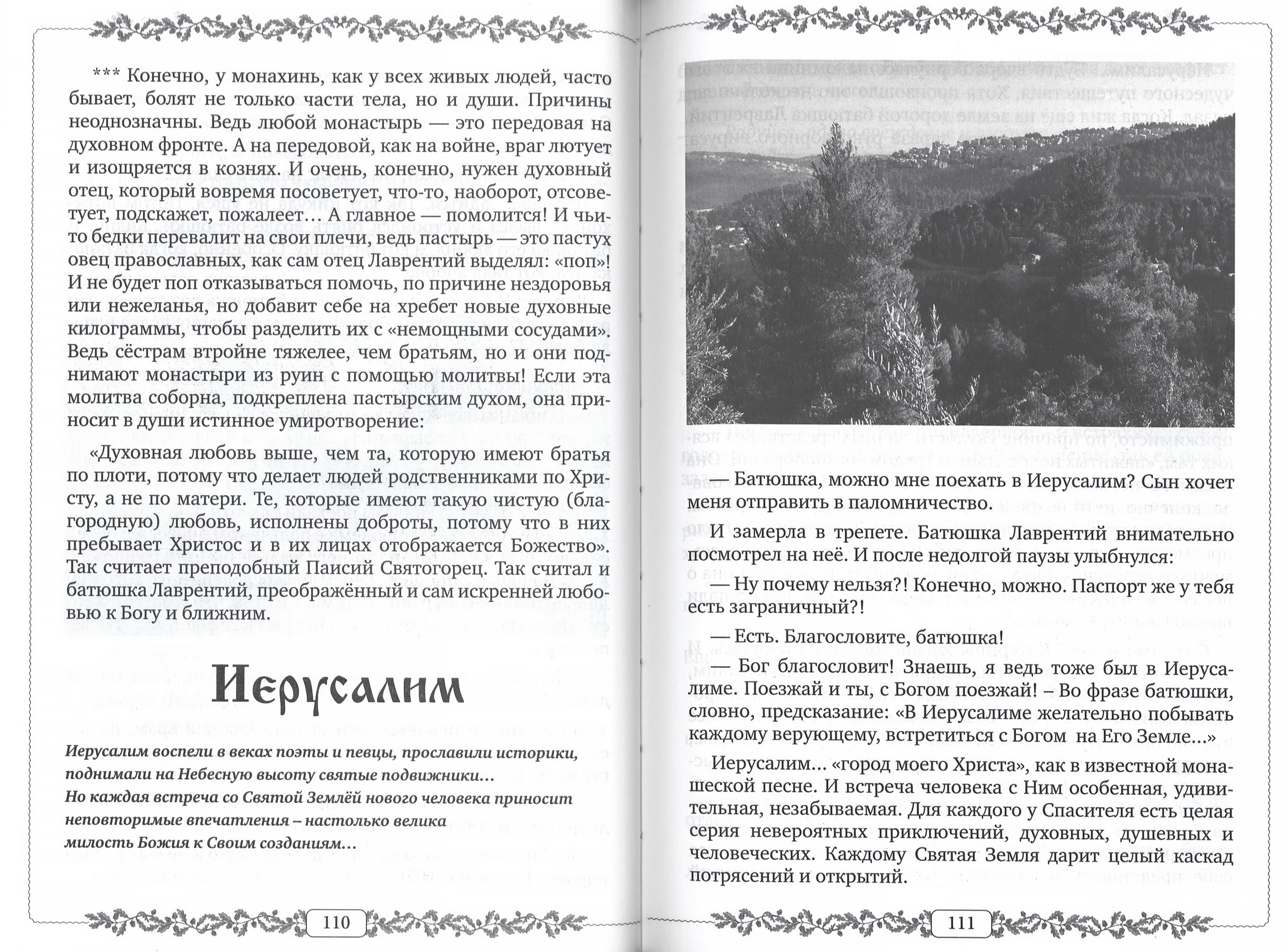 Здравия желаем, Батюшка! Новые лаврские, Радонежские и другие истории о пастырях и пастве - фото2