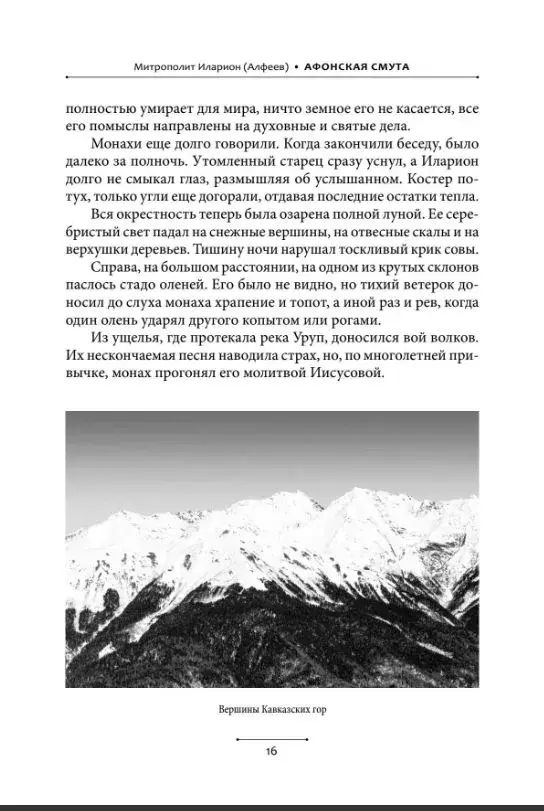 Афонская смута. Документальная повесть - фото3
