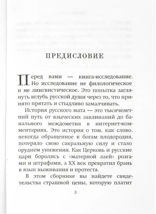 Избегайте сквернословия. Чем опасна матерная брань? - фото2